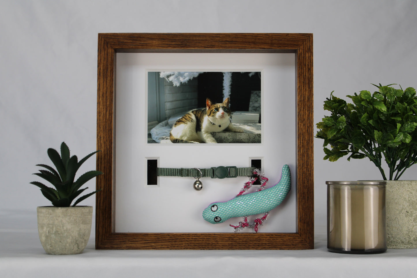 Pet Collar Display Case