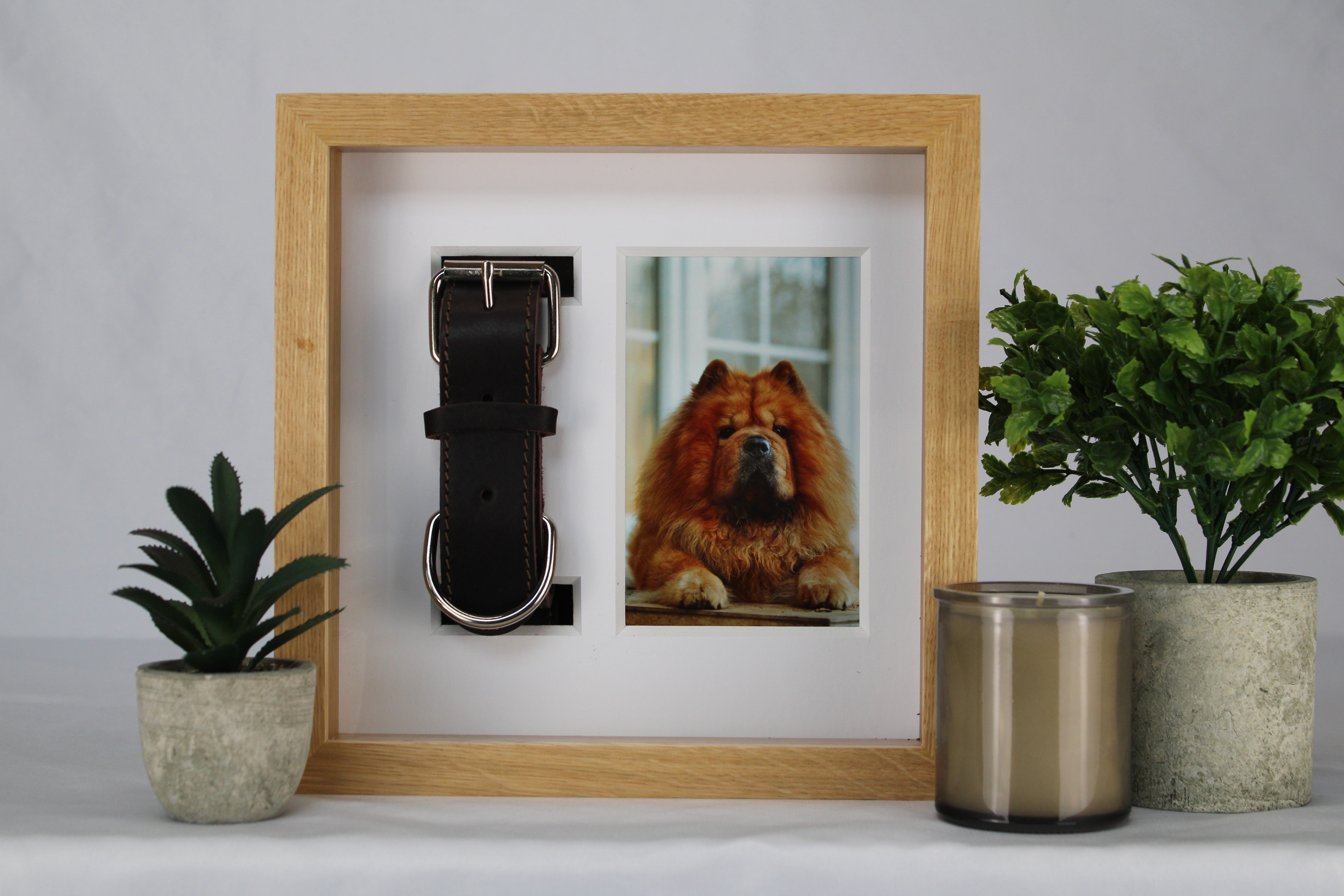 Dog collar clearance shadow box