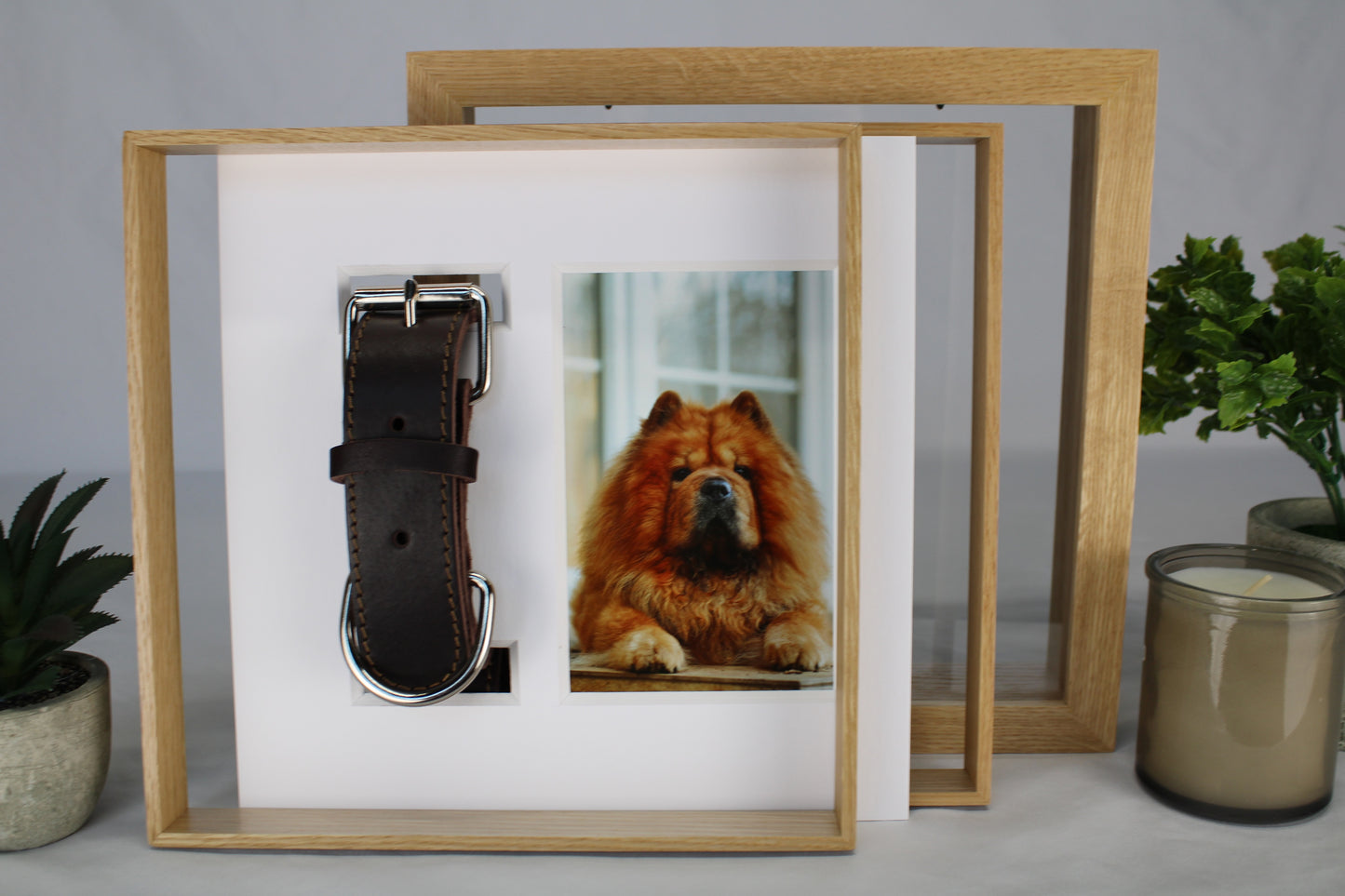 Pet Collar Display Case